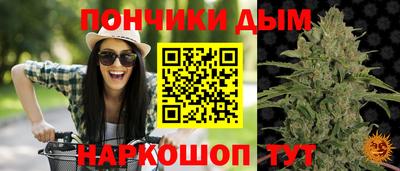 ALPHA PVP Кунгур