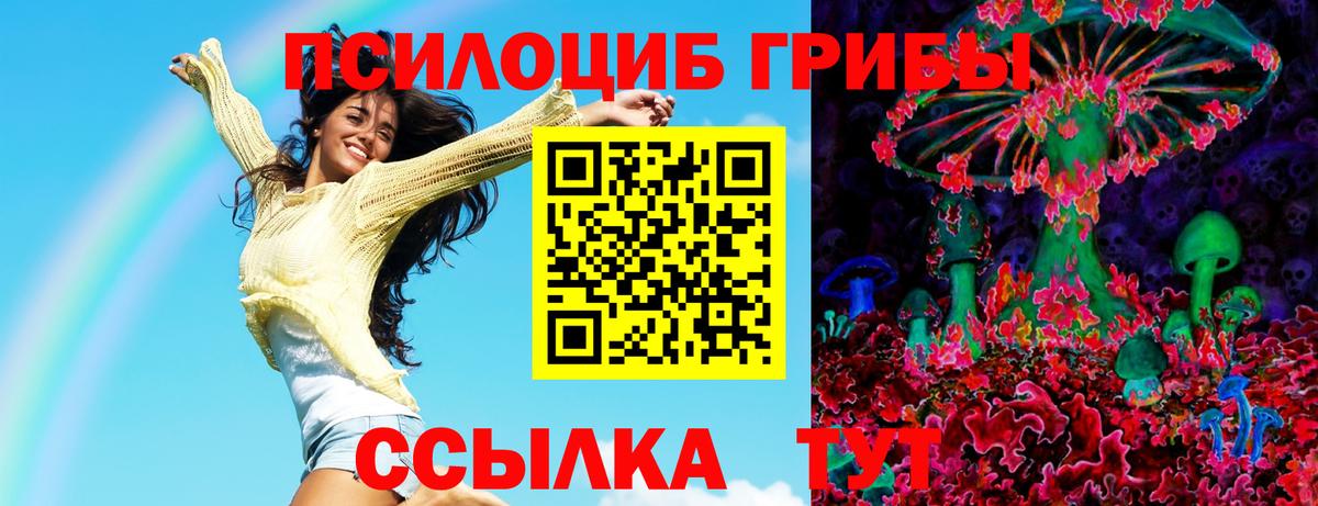 Урюпинск  Галлюциногенные грибы MAGIC MUSHROOMS  Вход с VPN 